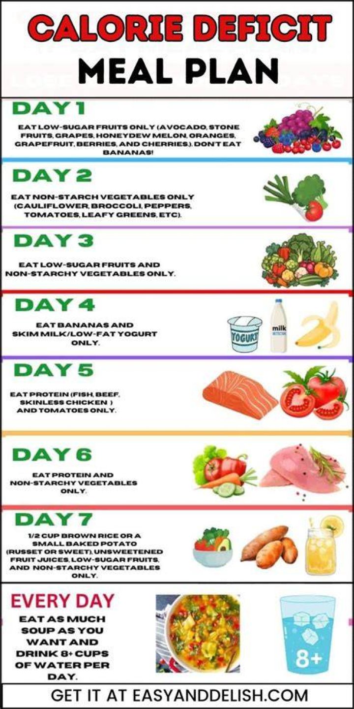 Alice Braga Diet Plan