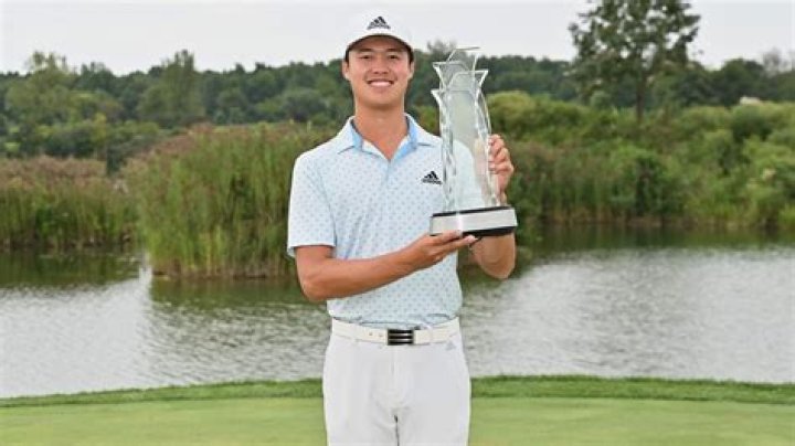 How much is Brandon Wu worth? Career earnings and net worth explored 1 Brandon Wu