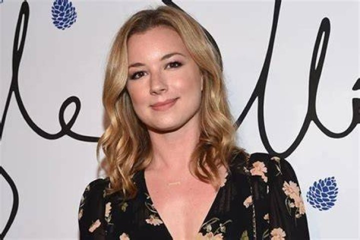 Emily VanCamp Net Worth