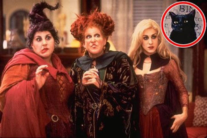 Is it Thackery Binx or Zachary Binx?