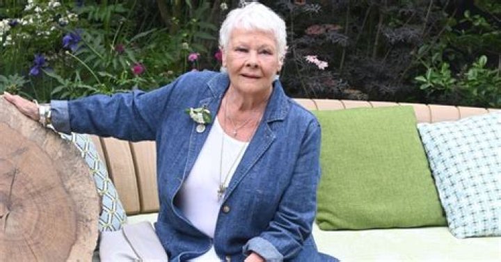Judi Dench Net Worth