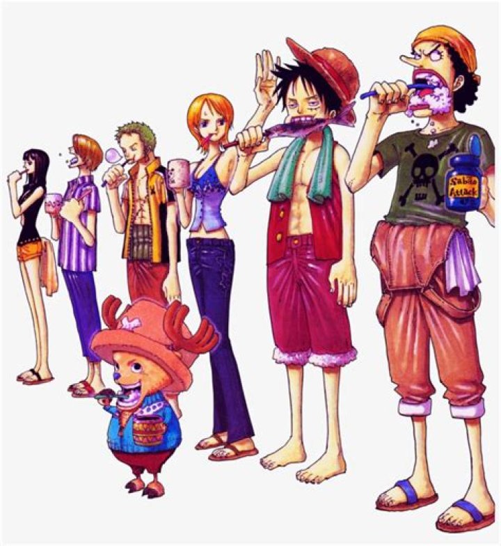 Luffy, Sanji, Robin and Chopper One Piece