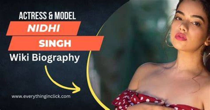 Nidhi Singh Net Worth
