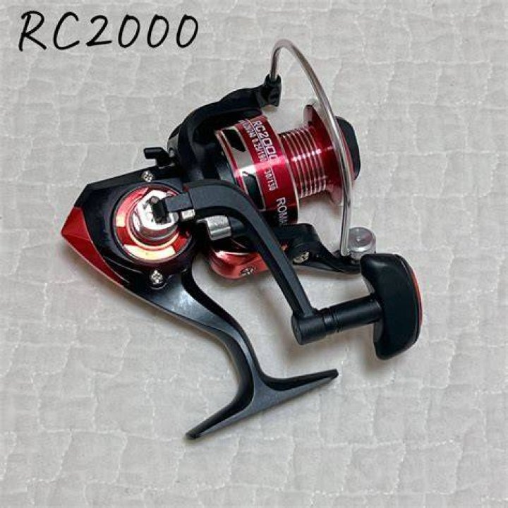 RC-2000 screaming