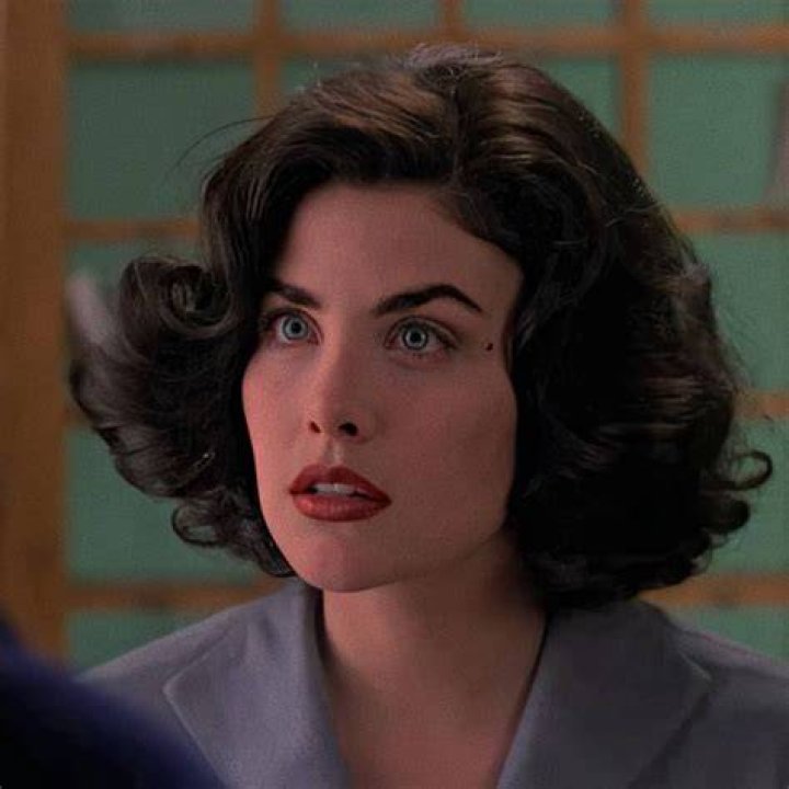 Sherilyn Fenn